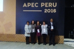 APEC 2016