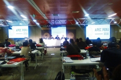 APEC 2016